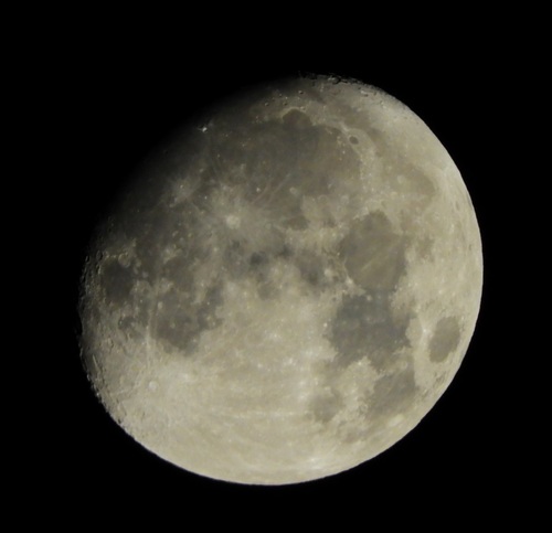 DSCN5663z.jpg