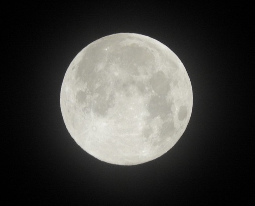 DSCN6827z.jpg