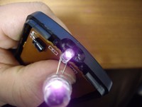 IMGP3803d.jpg