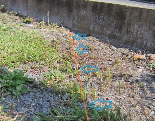IMG_0042.jpg