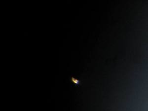 IMG_0271x.jpg