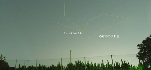 P9290409x.jpg
